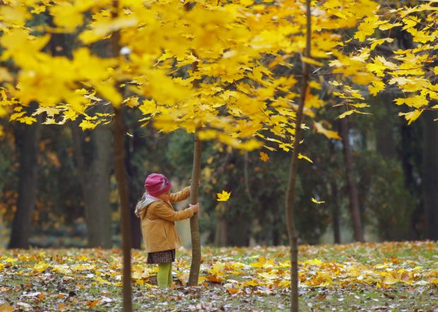 Fall colors around the world